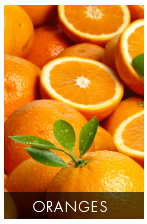 Ingy's Oranges