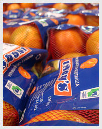 Ingys Citrus Packaging